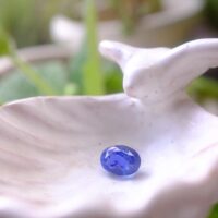 Ceylon Cornflower Blue Sapphire Unheated Certified